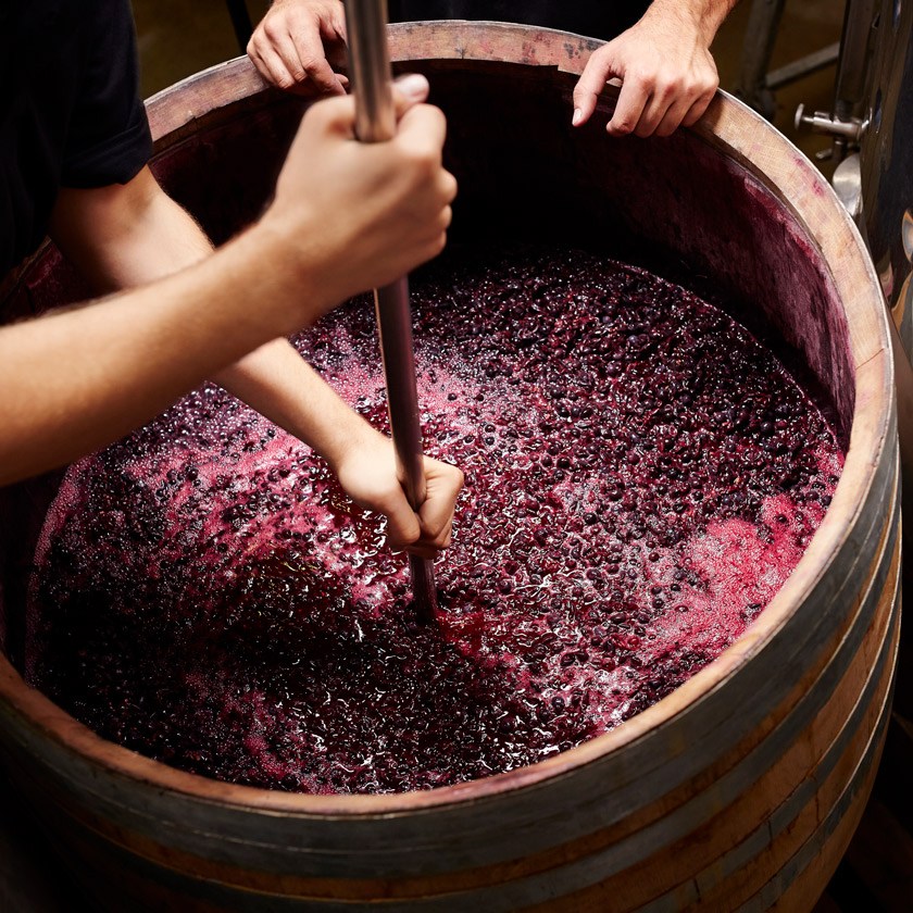 Evde şarap yapımına hızlı başlangıç için ihtiyacınız olan herşey Butik Şarap'ta!