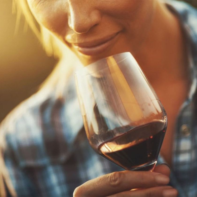 Şarap kültürü, en iyi şarap, şarap markaları ve şarapla ilgili merak ettiğiniz herşey Butik Şarap'ta!