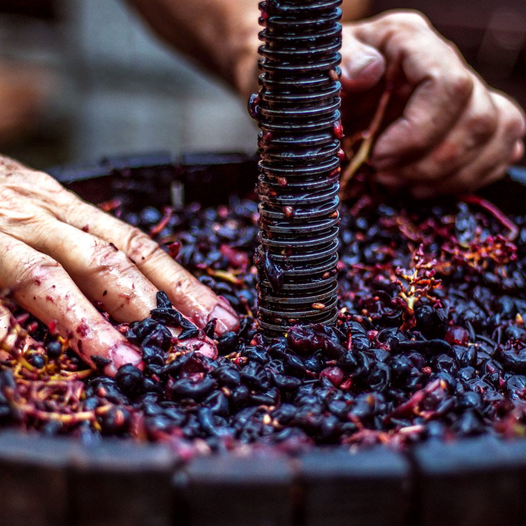 Evde şarap yapımı setlerini Butik Şarap'tan satın alın